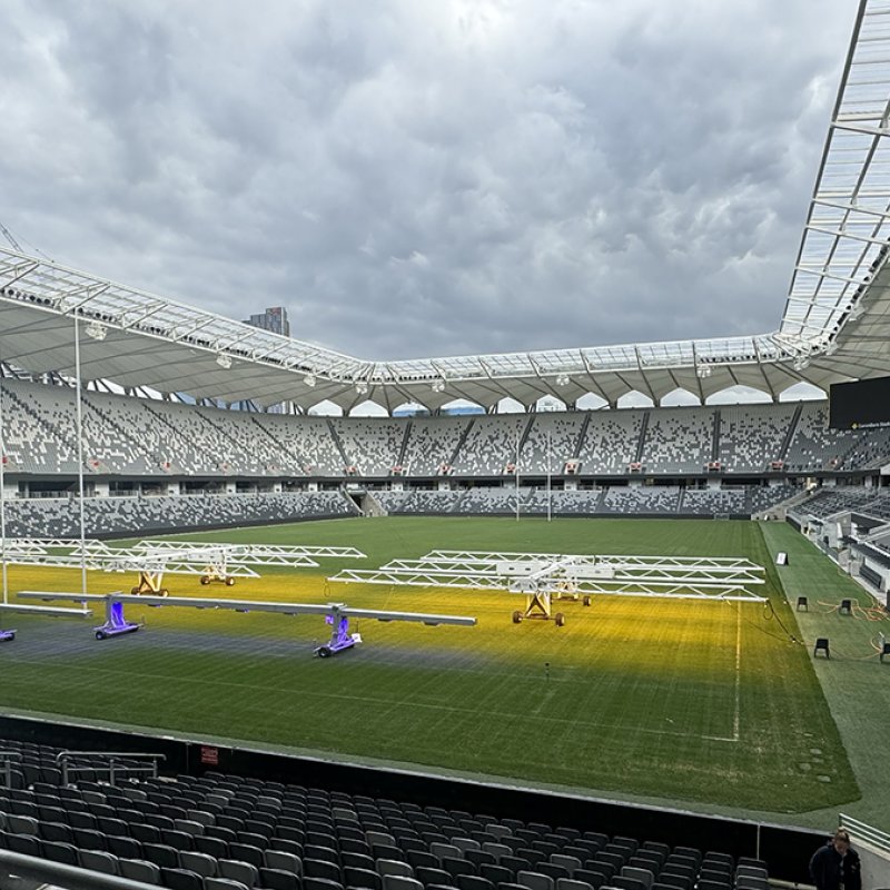 Commbank stadium playing field